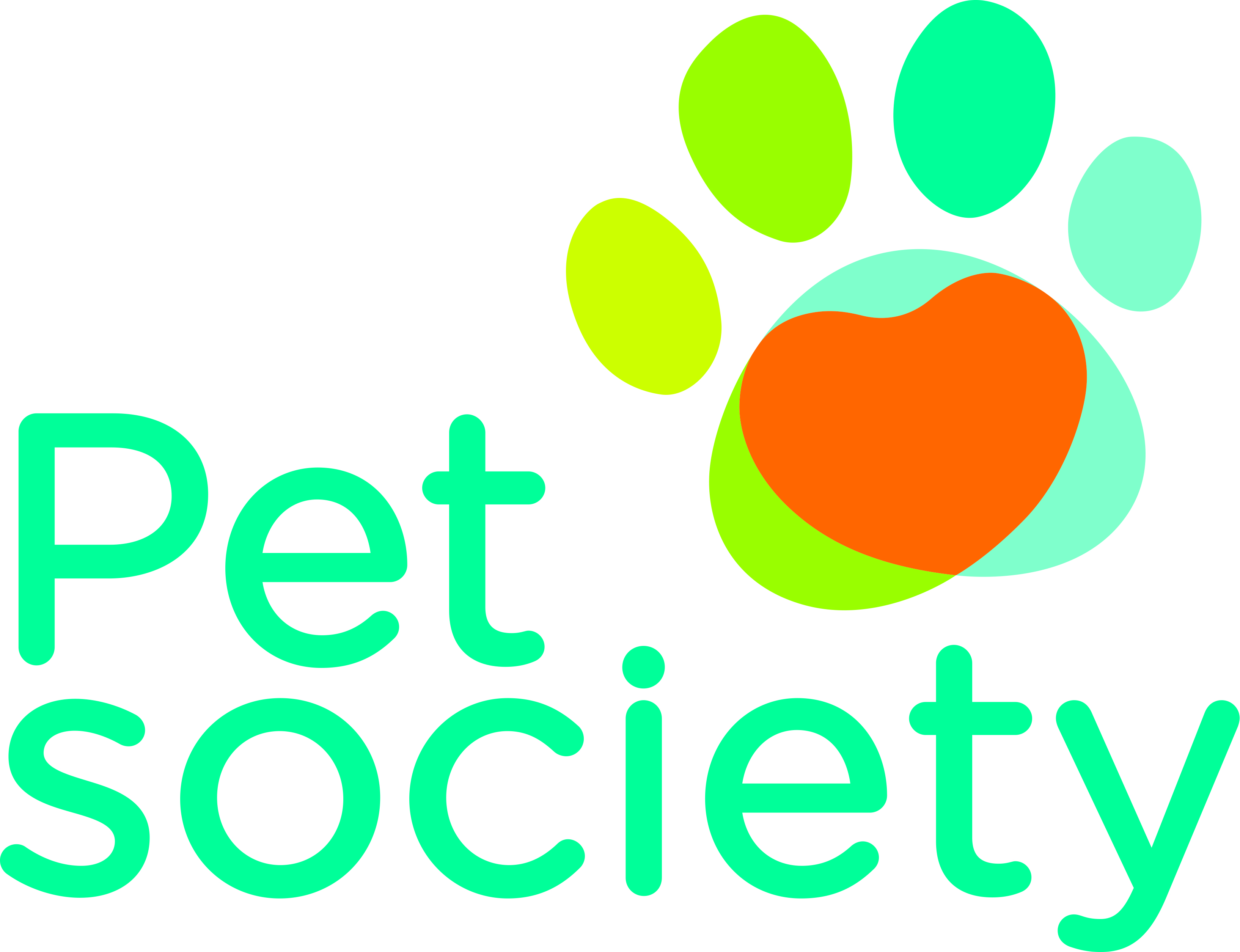 Pet Society, Pet Society Wiki