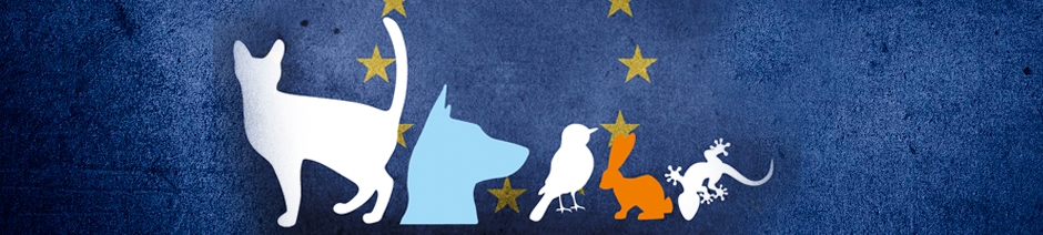 DOGS AND CATS ARE EUROPE'S MOST POPULAR PETS