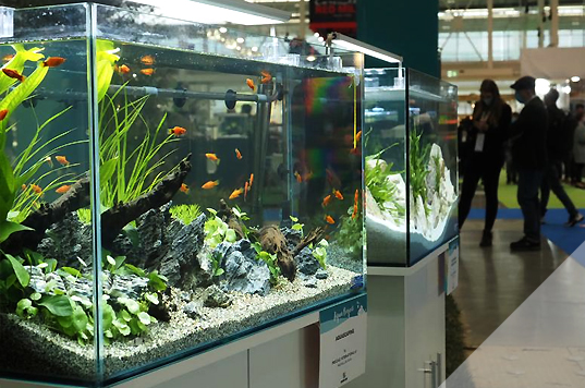 AQUA PROJECT