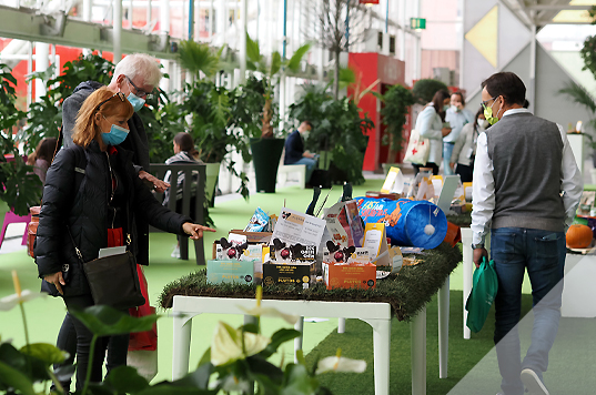 PET VISION MEGATREND
